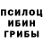 Галлюциногенные грибы Psilocybe Ladiko Pitskhelauri