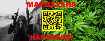 сатива Моздок