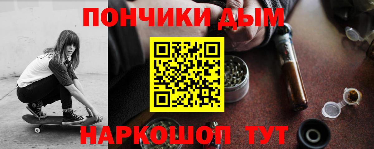 Бошки марихуана конопля Кондопога